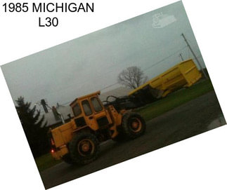 1985 MICHIGAN L30