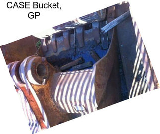 CASE Bucket, GP