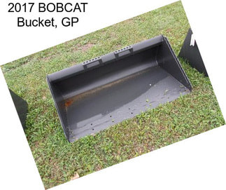 2017 BOBCAT Bucket, GP