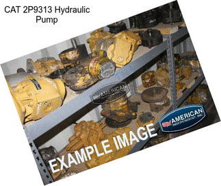 CAT 2P9313 Hydraulic Pump