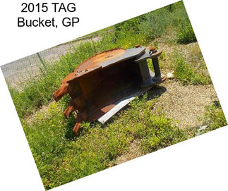 2015 TAG Bucket, GP