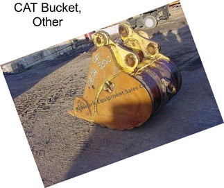 CAT Bucket, Other