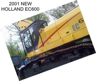 2001 NEW HOLLAND EC600