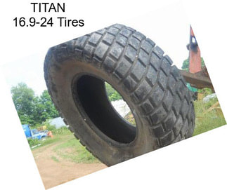 TITAN 16.9-24 Tires