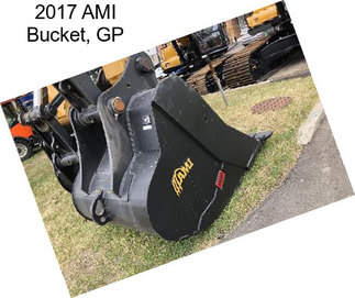 2017 AMI Bucket, GP