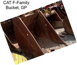 CAT F-Family Bucket, GP