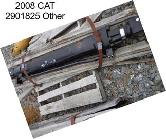 2008 CAT 2901825 Other