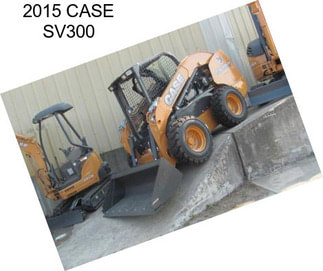 2015 CASE SV300