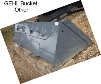 GEHL Bucket, Other