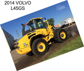 2014 VOLVO L45GS