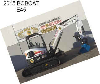 2015 BOBCAT E45