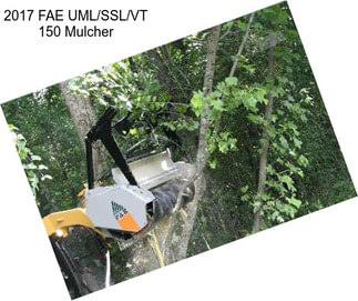 2017 FAE UML/SSL/VT 150 Mulcher