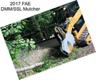 2017 FAE DMM/SSL Mulcher