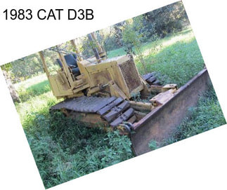 1983 CAT D3B