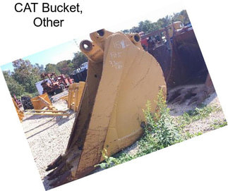 CAT Bucket, Other