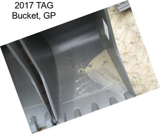 2017 TAG Bucket, GP