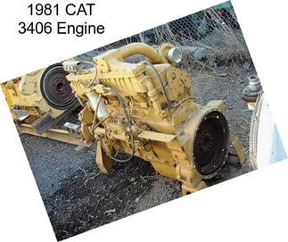 1981 CAT 3406 Engine
