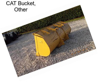 CAT Bucket, Other