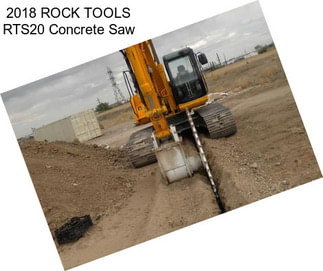 2018 ROCK TOOLS RTS20 Concrete Saw