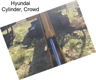 Hyundai Cylinder, Crowd