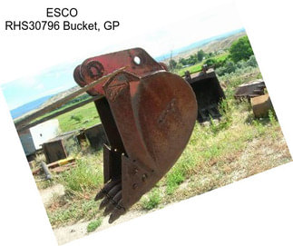 ESCO RHS30796 Bucket, GP