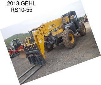 2013 GEHL RS10-55