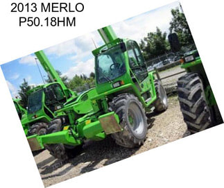 2013 MERLO P50.18HM