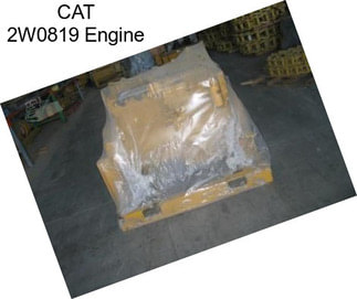 CAT 2W0819 Engine