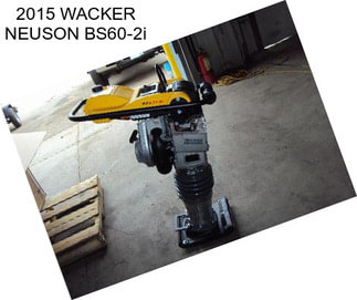 2015 WACKER NEUSON BS60-2i