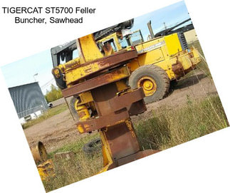 TIGERCAT ST5700 Feller Buncher, Sawhead