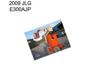 2009 JLG E300AJP