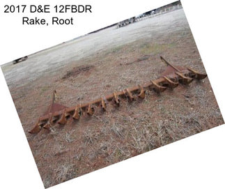 2017 D&E 12FBDR Rake, Root