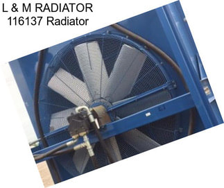 L & M RADIATOR 116137 Radiator