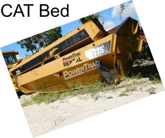 CAT Bed