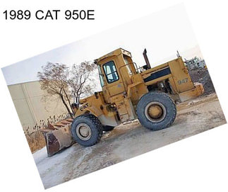 1989 CAT 950E