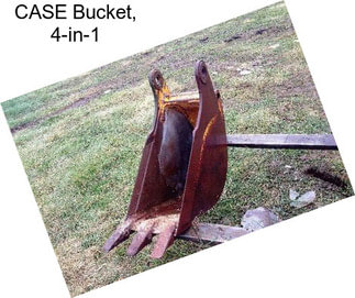 CASE Bucket, 4-in-1