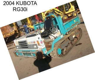 2004 KUBOTA RG30i