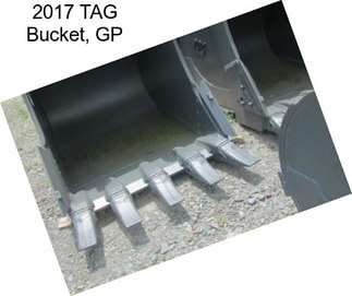 2017 TAG Bucket, GP