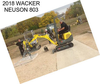 2018 WACKER NEUSON 803