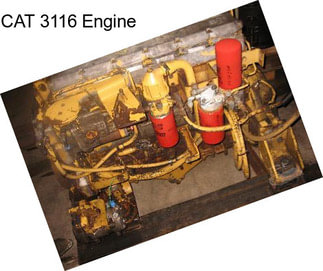 CAT 3116 Engine