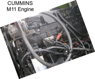 CUMMINS M11 Engine