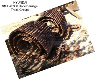 HYUNDAI 81EL-20300 Undercarriage, Track Groups