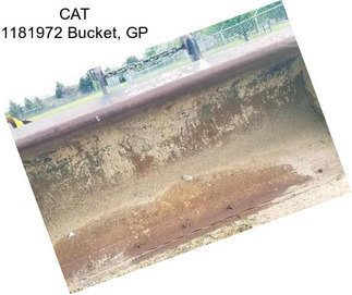 CAT 1181972 Bucket, GP