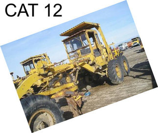 CAT 12