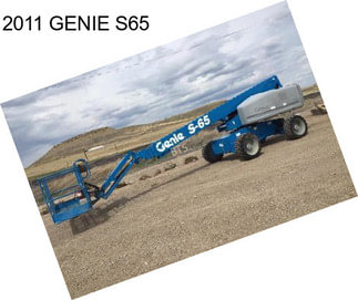 2011 GENIE S65