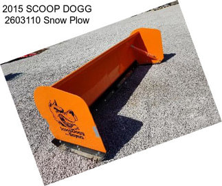 2015 SCOOP DOGG 2603110 Snow Plow