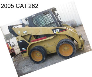 2005 CAT 262