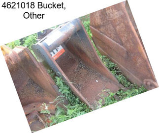 4621018 Bucket, Other