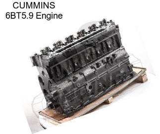 CUMMINS 6BT5.9 Engine