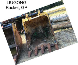 LIUGONG Bucket, GP